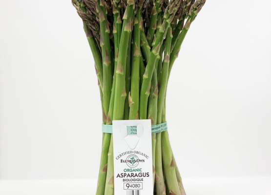 Asparagus Shoot