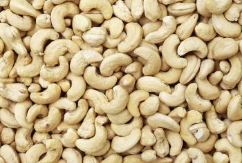 Cashew Nut